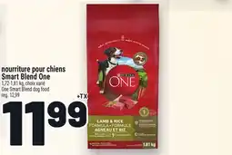 Metro NOURRITURE POUR CHIENS SMART BLEND ONE PURINA | PURINA ONE SMART BLEND DOG FOOD offer