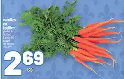 Metro CAROTTES EN FEUILLES | TOP CARROTS offer
