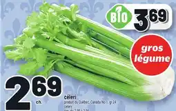 Metro CÉLERI | CELERY offer