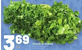 Metro CHICORÉE OU ESCAROLE | CHICORY OR ESCAROLE offer