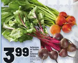 Metro BETTERAVES EN FEUILLES OU BETTERAVES DORÉES | TOP BEETS OR GOLDEN TOP BEETS offer