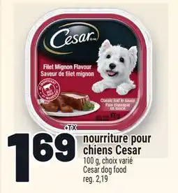 Metro NOURRITURE POUR CHIENS CESAR | CESAR DOG FOOD offer