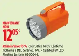 Canadian Tire Certified 6V LED Floating Lantern offer