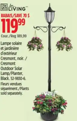 Canadian Tire For-living Plants sold separately offer