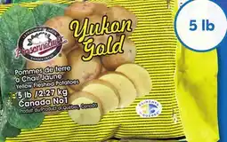 IGA YUKON GOLD POTATOES offer