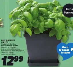 IGA POTTED FINE HERBS offer