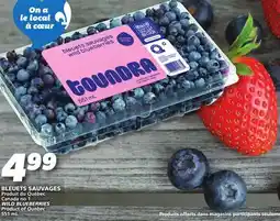 IGA WILD BLUEBERRIES offer