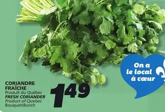 IGA FRESH CORIANDER offer