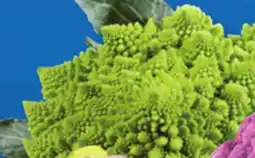 IGA ROMANESCO CAULIFLOWER offer