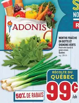 Marché Adonis MENTHE FRAICHE EN BOTTE ET OIGNONS VERTS | FRESH MINT BUNCH & GREEN ONIONS offer