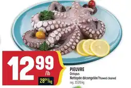 Marché Adonis PIEUVRE | OCTOPUS offer