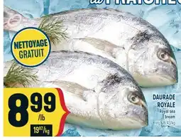 Marché Adonis DAURADE ROYALE | ROYAL SEA BREAM offer