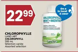 Rachelle-Bery Grocery CHLOROPHYLLE LAND ART offer