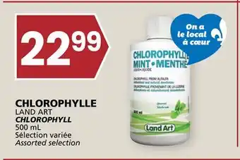 Rachelle-Bery Grocery CHLOROPHYLLE LAND ART offer