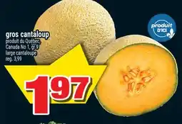 Super C GROS CANTALOUP | LARGE CANTALOUPE offer