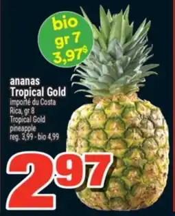Super C ANANAS TROPICAL GOLD | TROPICAL GOLD PINEAPPLE offer