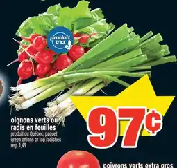 Super C OIGNONS VERTS OU RADIS EN FEUILLES | GREEN ONIONS OR TOP RADISHES offer