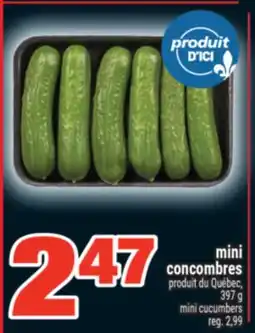 Super C MINI CONCOMBRES | MINI CUCUMBERS offer