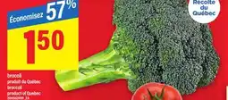 Maxi BROCCOLI | BROCCOLI offer