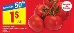 Maxi TOMATES SUR VIGNE offer