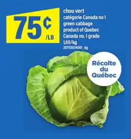 Maxi CHOU VERT | GREEN CABBAGE offer