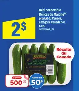 Maxi MINI CONCOMBRE DÉLICES DU MARCHÉ, 6 un offer