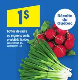 Maxi BOTTES DE RADIS OU OIGNONS VERTS offer