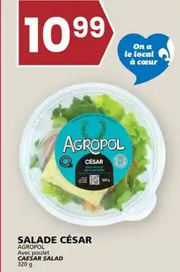 Rachelle-Bery Grocery CAESAR SALAD offer