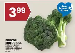 Rachelle-Bery Grocery ORGANIC BROCCOLI offer