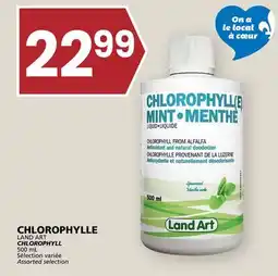 Rachelle-Bery Grocery LAND ART CHLOROPHYLL offer