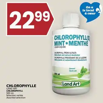 Rachelle-Bery Grocery LAND ART CHLOROPHYLL offer