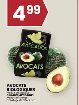 Rachelle-Bery Grocery AVOCADOS offer