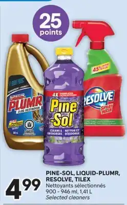 Brunet PINE-SOL, LIQUID-PLUMR, RESOLVE, TILEX Nettoyants sélectionnés offer