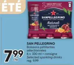 Brunet SAN PELLEGRINO Boissons pétillantes sélectionnées offer