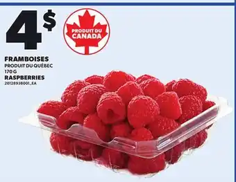 Provigo RASPBERRIES, 170 G offer