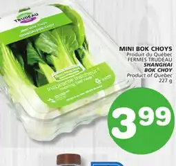 Marches Tradition SHANGHAI BOK CHOY BOK offer
