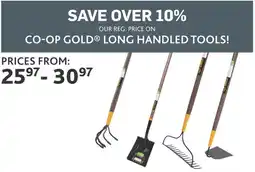 Co-op Co-op gold long handled tools offer
