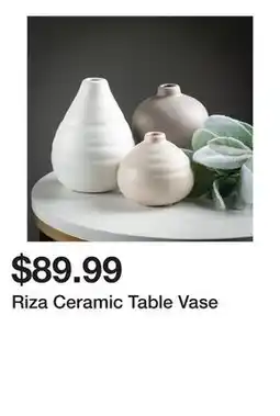 Wayfair Riza Ceramic Table Vase offer