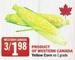 IGA Yellow corn offer