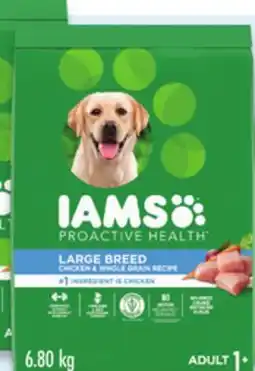 Walmart IAMS dry dog food offer