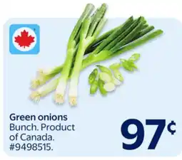 Walmart Green Onion offer