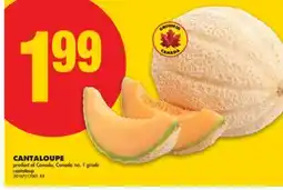 No Frills CANTALOUPE offer