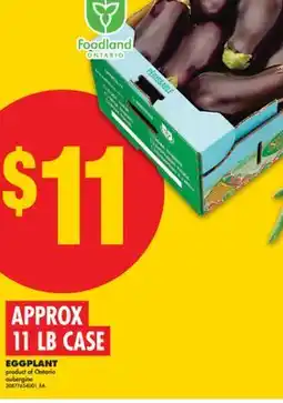 No Frills EGGPLANT, 11 LB CASE offer