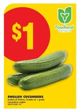 No Frills ENGLISH CUCUMBERS offer