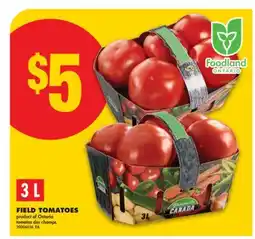 No Frills FIELD TOMATOES, 3 L offer