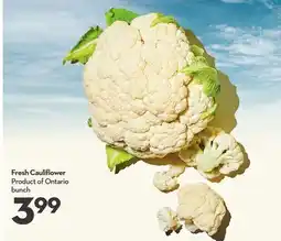 Longo's Fresh Cauliflower offer