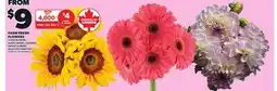 Loblaws FARM FRESH FLOWERS offer