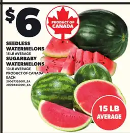 Loblaws SEEDLESS WATERMELONS, 15 LB AVERAGE SUGARBABY WATERMELONS, 13 LB AVERAGE offer