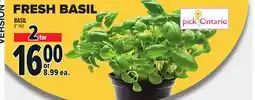 Metro FRESH BASIL offer