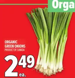 Metro ORGANIC GREEN ONIONS offer